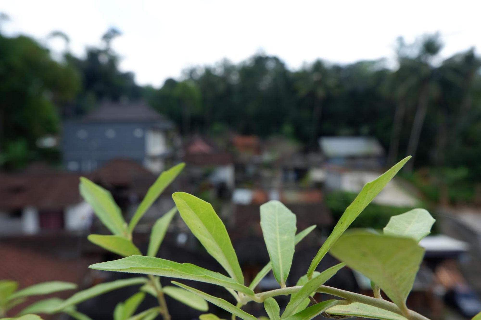 Ramaya Ubud View By Eps Exterior photo